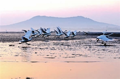 生態(tài)與經(jīng)濟共舞 譜寫“兩山”實踐新篇章